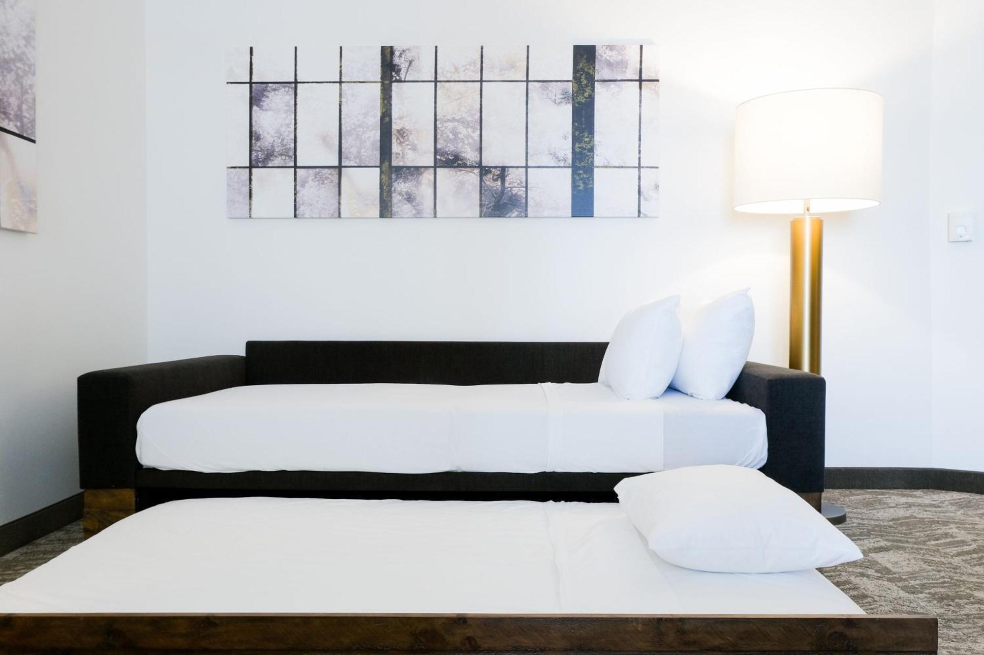 Springhill Suites By Marriott Dallas Richardson/Plano Extérieur photo